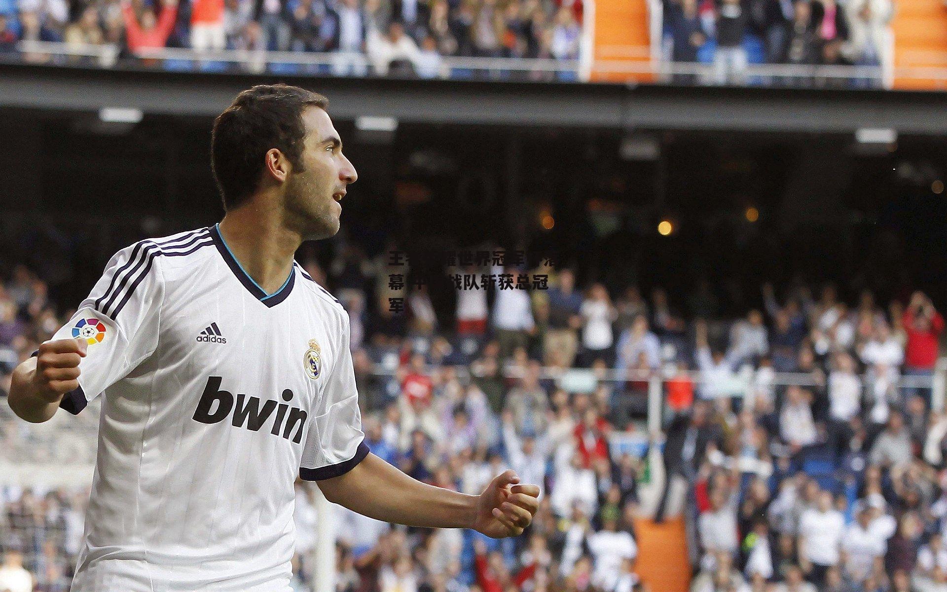 王者荣耀世界冠军杯落幕 中国战队斩获总冠军