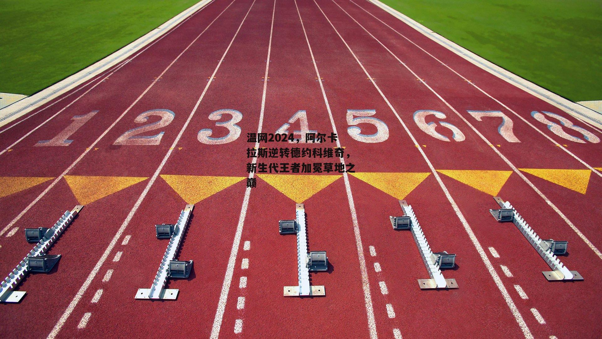 温网2024，阿尔卡拉斯逆转德约科维奇，新生代王者加冕草地之巅